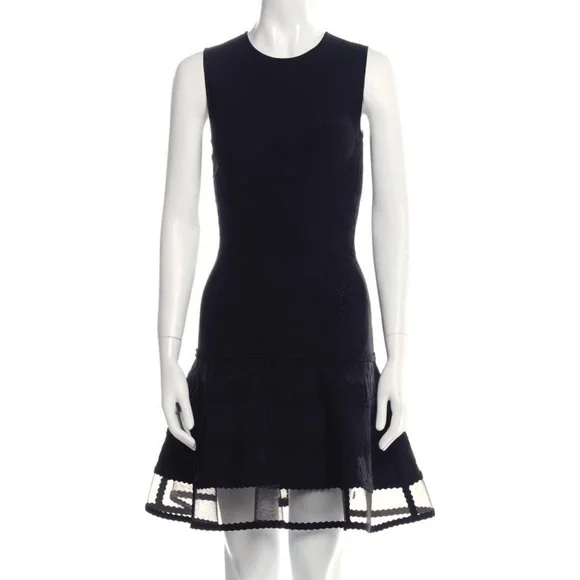 Alexander McQueen | Dresses | Alexander Mcqueen Black Fit Flare Dress With  Mesh Trim | Poshmark